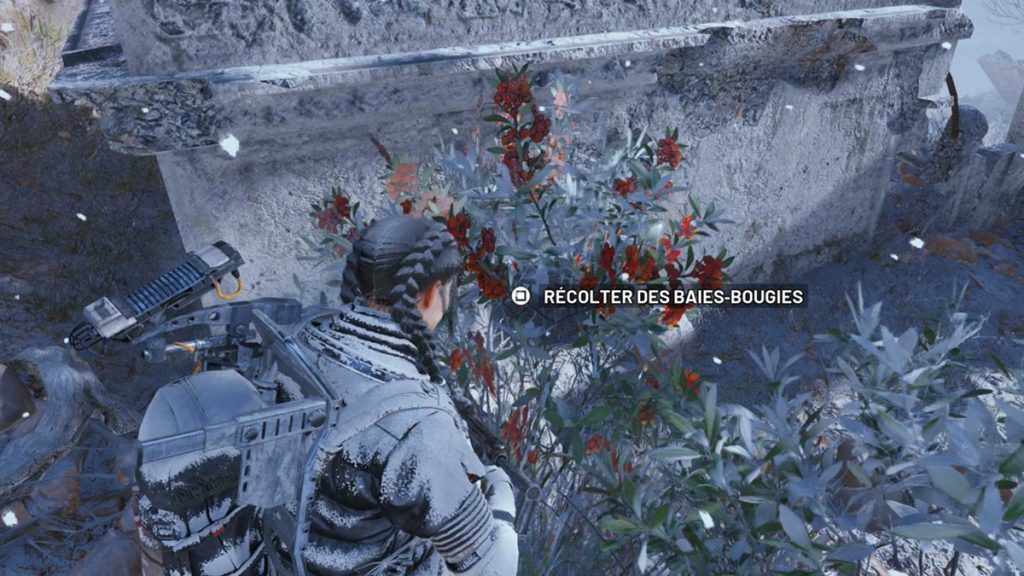 Baies-bougies ARC Raiders : où trouver cet item ?