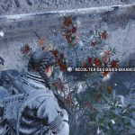 Baies-bougies ARC Raiders : où trouver cet item ?