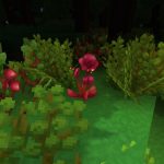 Blood rose Hytale : comment fabriquer des potions de soin ?