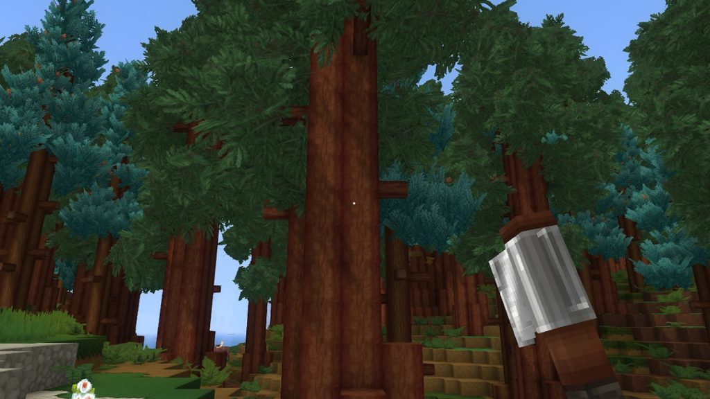 Bois séquoia (redwood) Hytale : où trouver cette ressource ?