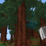 Bois séquoia (redwood) Hytale : où trouver cette ressource ?