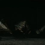 Fallout Créatures : liste de tous les monstres des jeux et de la série !