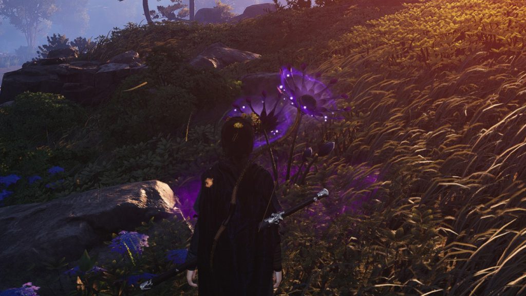 Where Winds Meet Poison : comment infliger cet effet ?