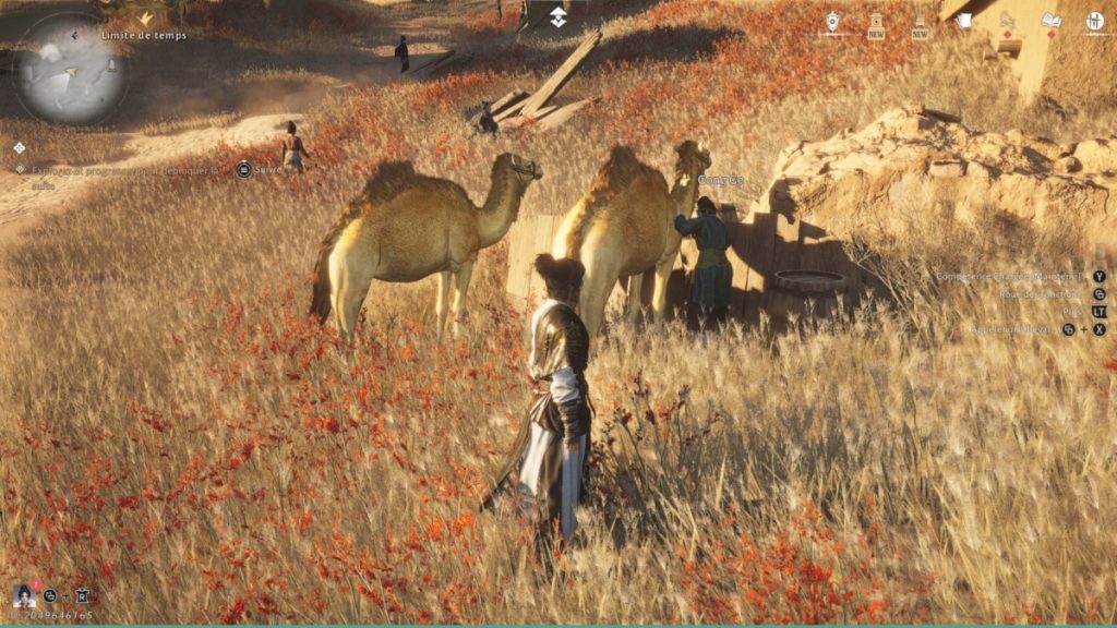 Gong Ge Where Winds Meet : Où la trouver et quelles réponses lui donner ?