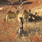 Gong Ge Where Winds Meet : Où la trouver et quelles réponses lui donner ?