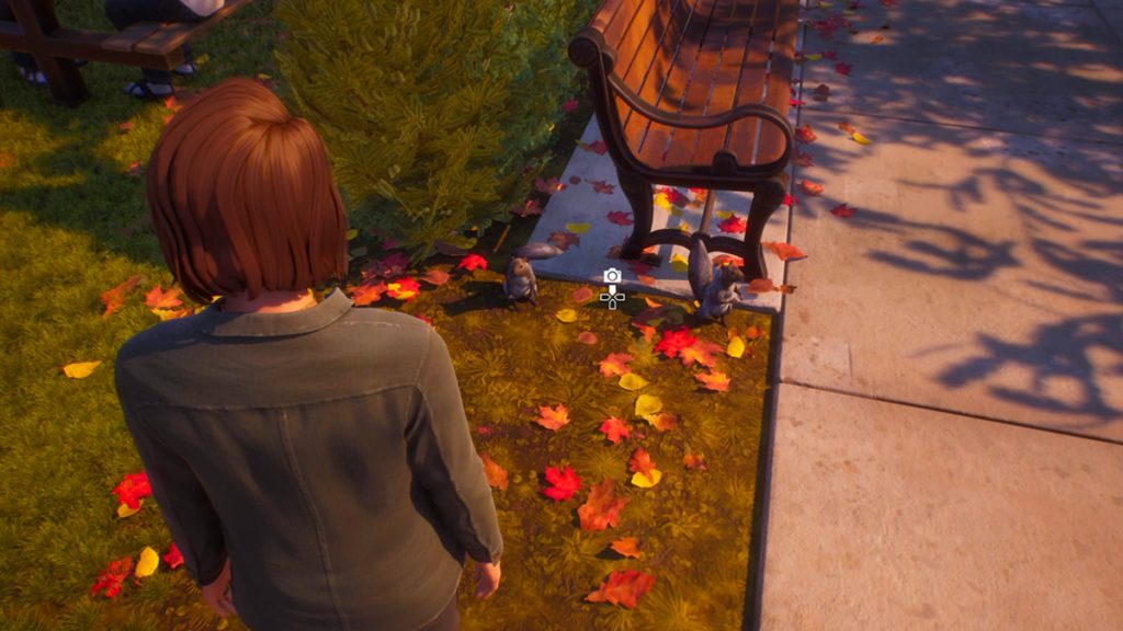 Life is Strange: Reunion.