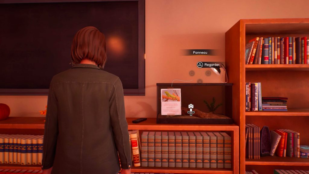 Life is Strange: Reunion.