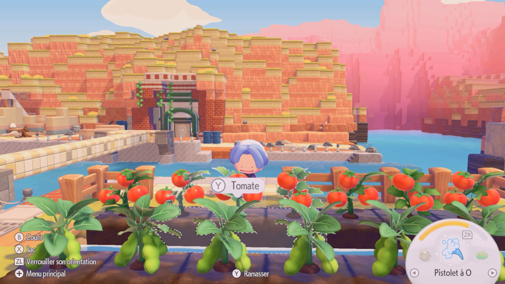 Comment obtenir des tomates dans Pokémon Pokopia ?