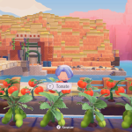 Comment obtenir des tomates dans Pokémon Pokopia ?