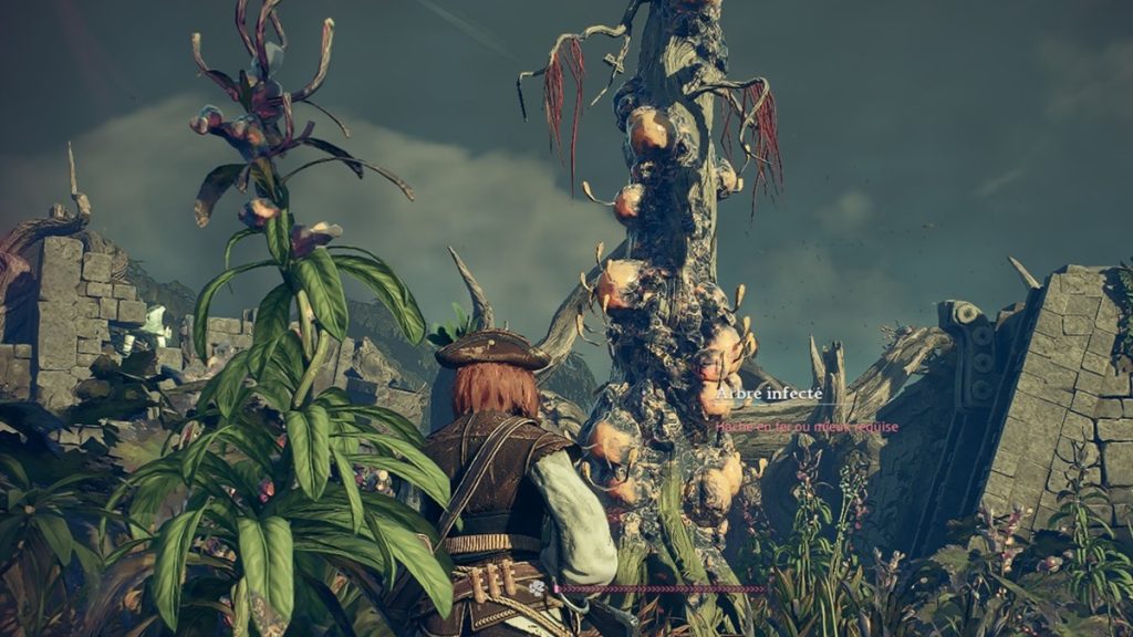 Lingot et essence d&rsquo;arborum Windrose : où trouver du bois de peste ?