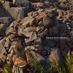 Minerai de fer Windrose : comment avoir des lingots ?