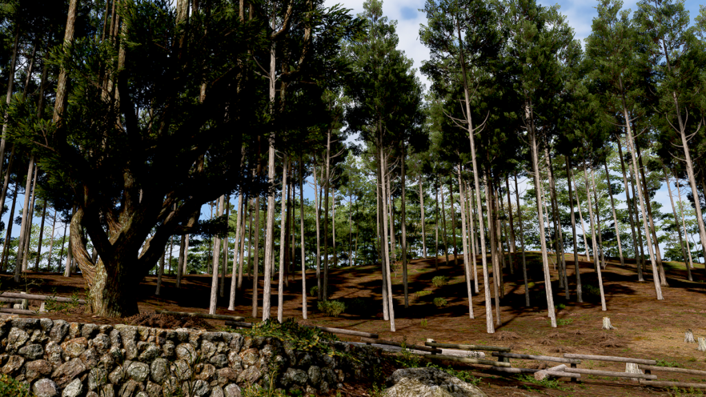 Kitayama Big Daisugi Forza Horizon 6 : Où prendre cette photo dans FH6 ?